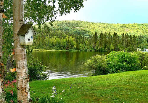 加拿大移民語言不通能否生活