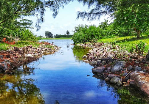 移民圣基茨是騙局嗎？買房有哪些“坑”?