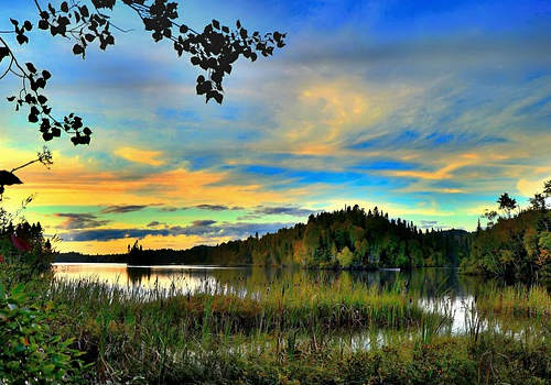 加拿大移民要多少錢？