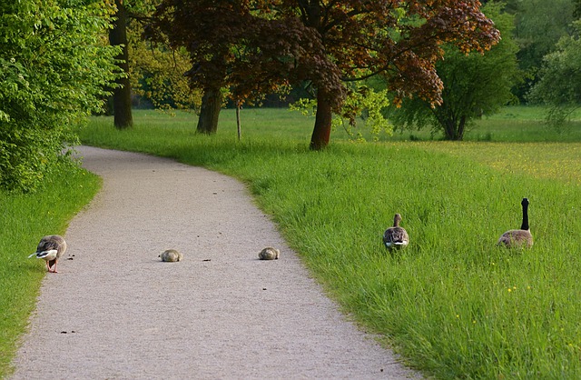 2020年加拿大雇主擔(dān)保移民常見問題匯總（1）：安省雇主擔(dān)保移民