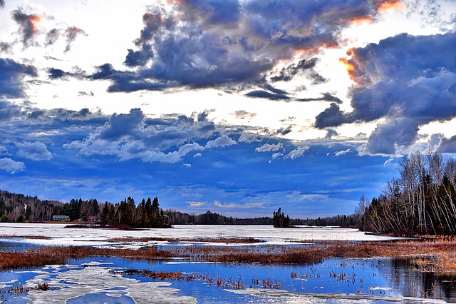 國內本科學歷為子女教育移民，該如何選擇國家？