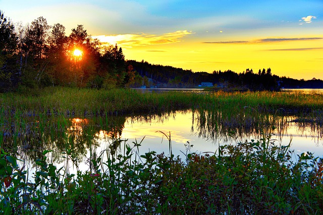 詳解加拿大AFIP農業試點項目四大優勢