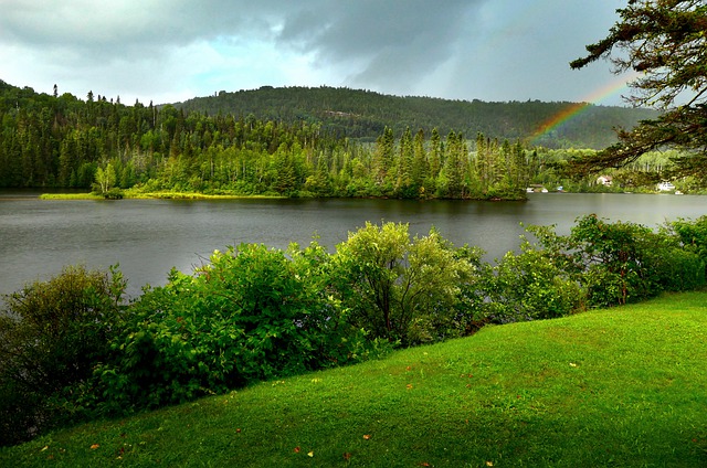 最新加拿大家庭護(hù)理移民條件、流程、費(fèi)用詳解