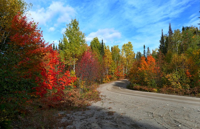 2021年移民加拿大體檢要怎么做？有哪些具體要求？