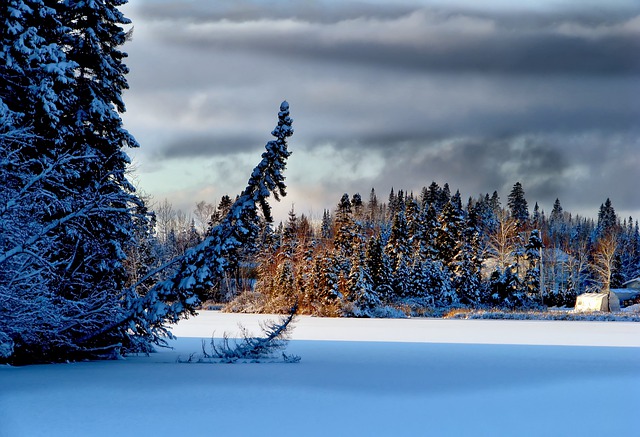 你知道為什么加拿大安省雇主擔保移民這么火嗎？