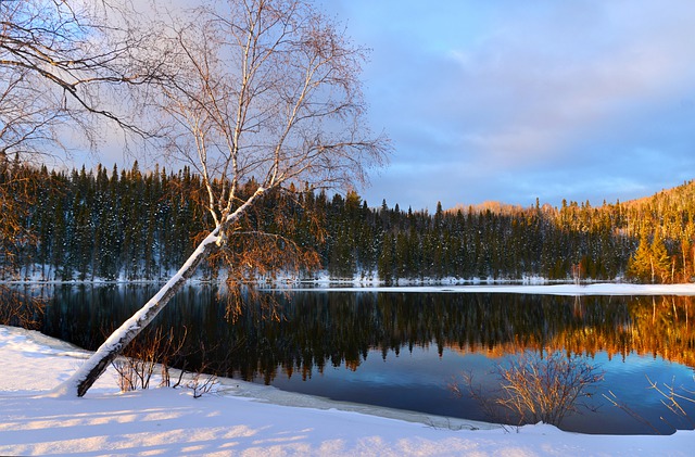 2021年加拿大最新的移民入籍條件是什么？