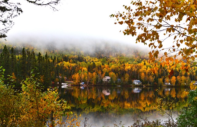 加拿大永久移民項目AIPP快速拿楓葉卡， 要不要了解一下！