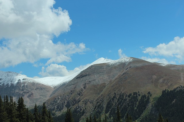 美國(guó)的教育體系是如何分類(lèi)的？移民家長(zhǎng)們注意了！