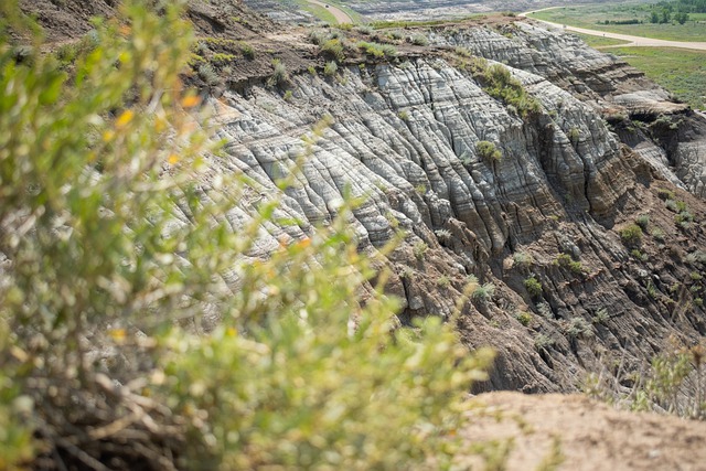 申請加拿大技術移民，到底難不難？