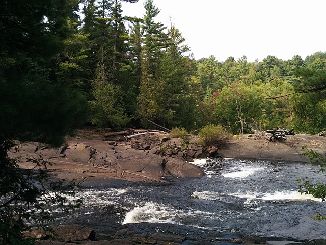 普通人移民加拿大，怎樣找到適合自己的工作？