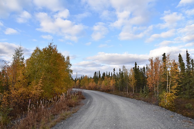 還不趕快收藏？移民加拿大后的租房小妙招！