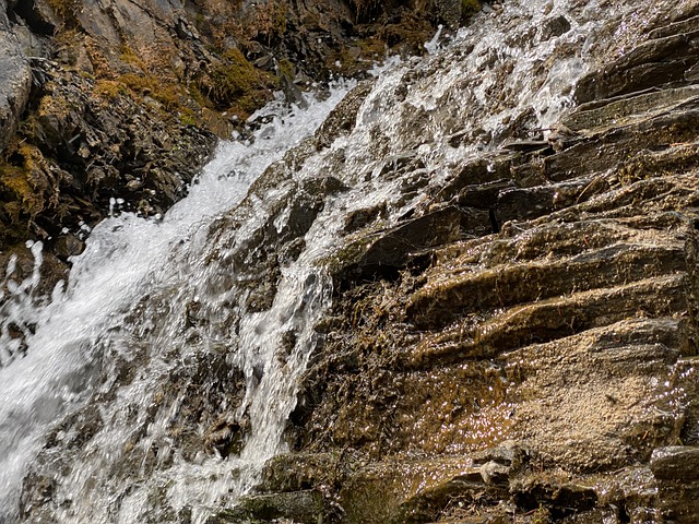 移民加拿大后在加拿大看病要不要花錢？