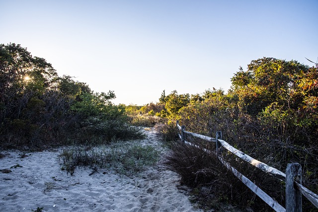 申請美國EB1a移民怎么才能提高成功率？