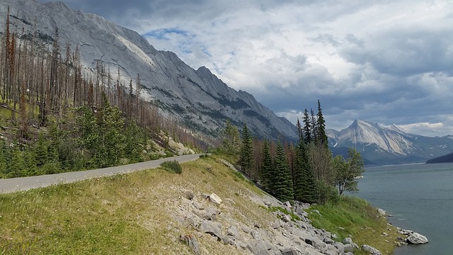 移民百科：加拿大移民的加分神器LMIA究竟是什么？
