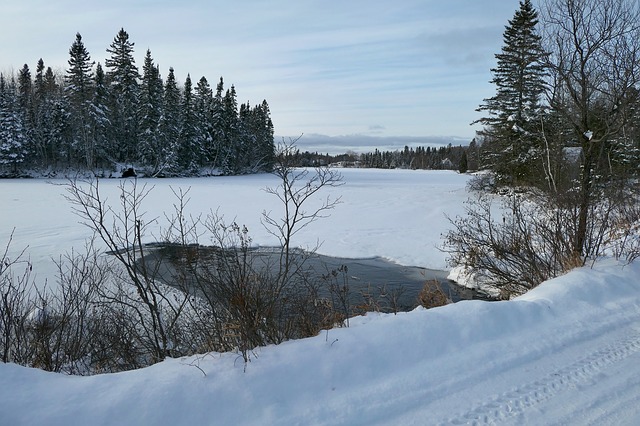 華人移民加拿大后遭到遣返的四大常見原因盤點