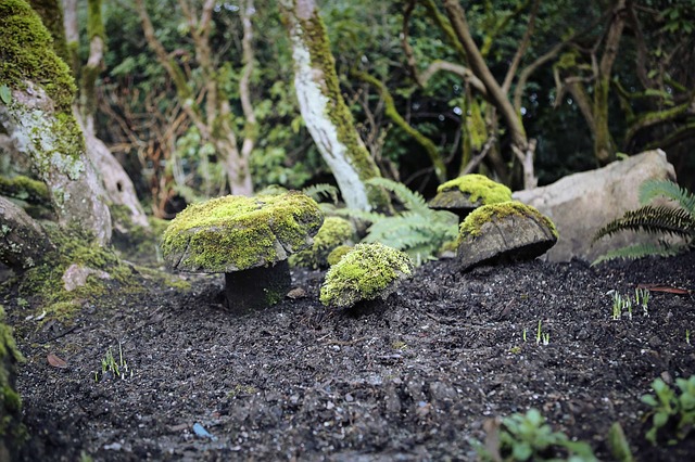 加拿大最新居民福利政策解析！看看哪項(xiàng)福利適合你？