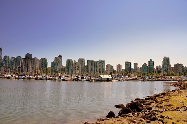 學歷低有機會移民加拿大嗎？有才能申請自雇移民！