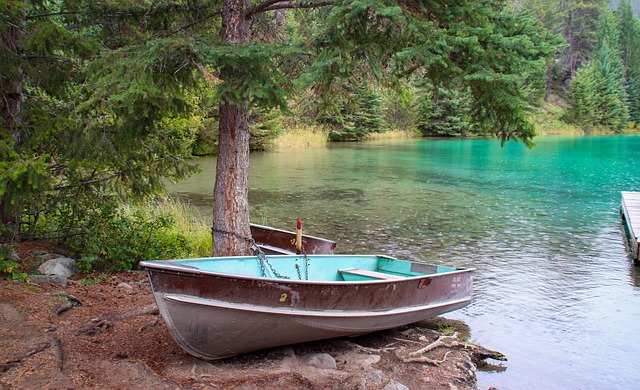 移民加拿大后的生活和國內的有什么區別？