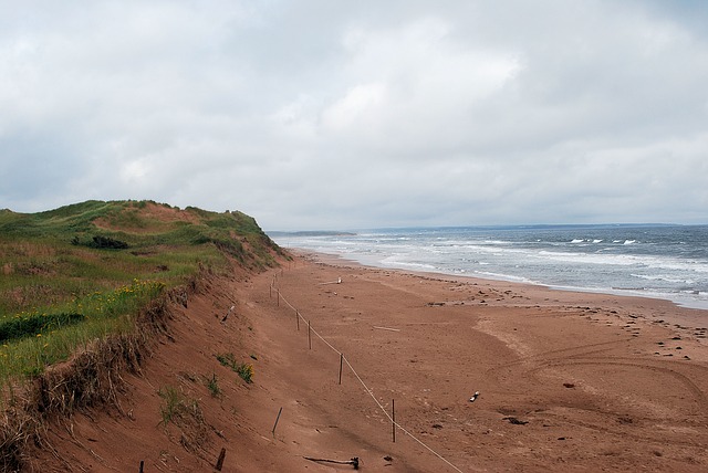門檻低申請速度快的的聯邦自雇移民，看看自己符不符合