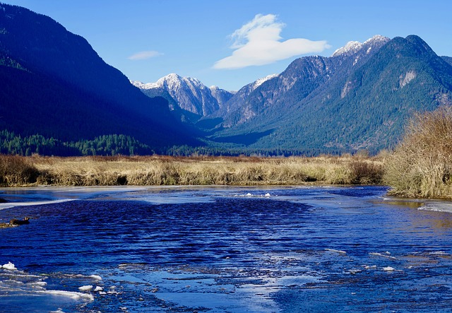 干貨收藏：加拿大移民購房終極攻略（上）