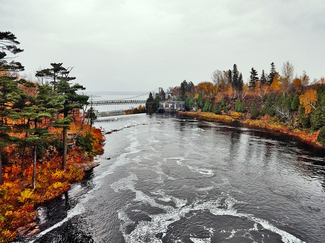 移民在加拿大養(yǎng)娃，我不僅沒花錢還掙了上百萬