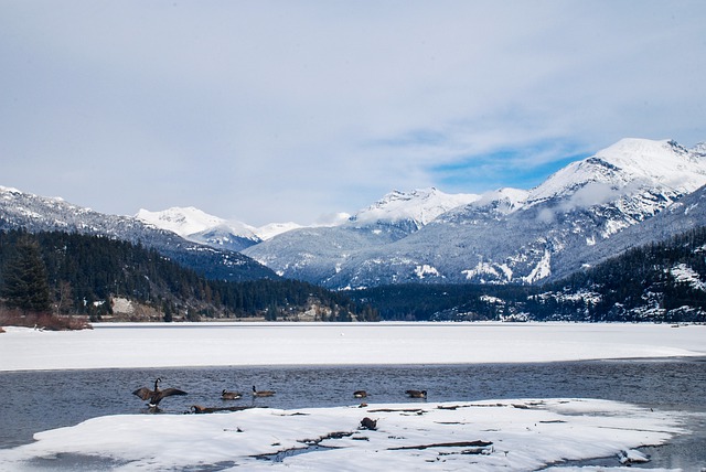雇主擔保移民——你不知道的加拿大移民捷徑