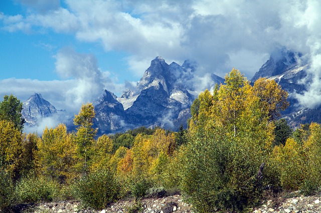 移民美國，為什么更多人選擇EB-3？