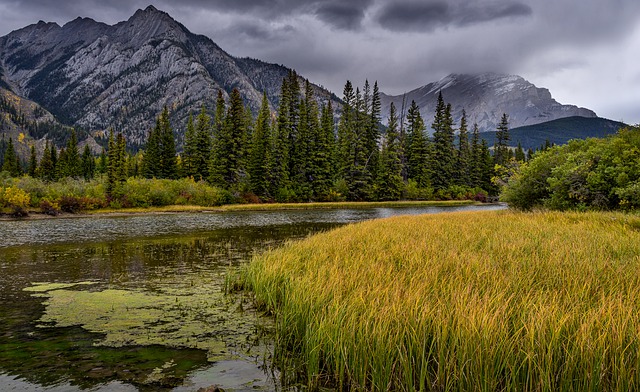 加拿大移民小科普：全面了解大西洋四省！