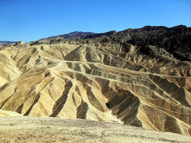 詳解美國EB1A杰出人才移民十條標準之協會會員