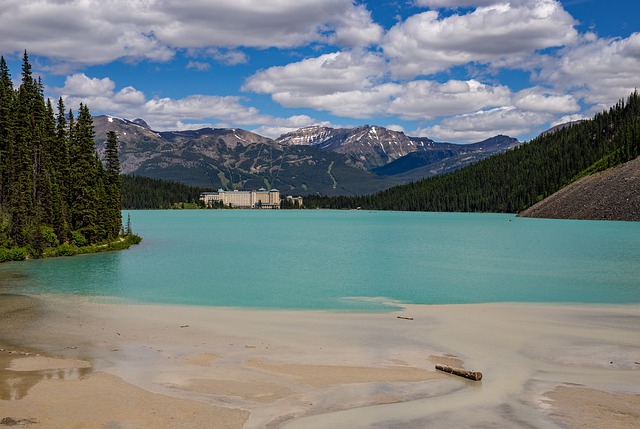 移民面面觀：在加拿大生活有哪些鮮為人知的技巧 ？