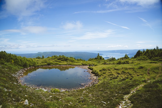 2022年最新加拿大聯(lián)邦自雇移民政策全解析