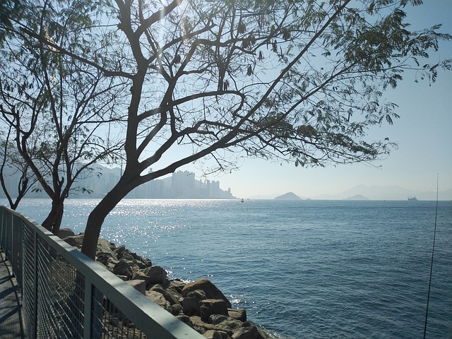 如何通過身份規劃減少教育焦慮？