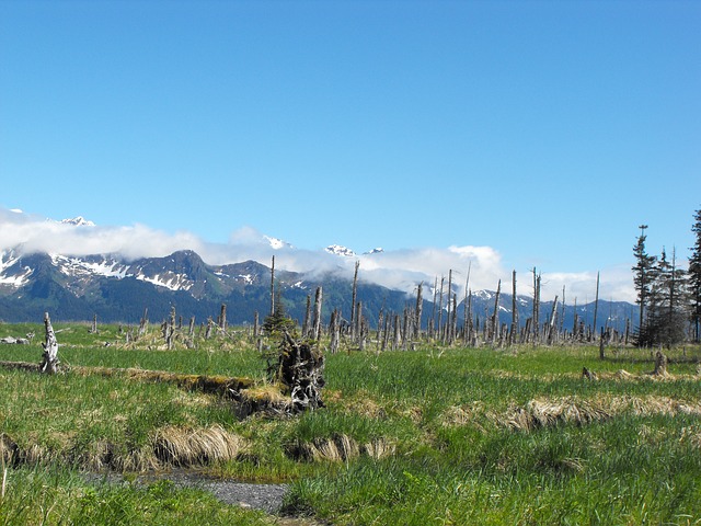 美國移民面面觀：如何在美國購買商業地產？