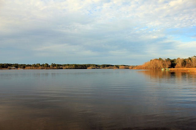 手把手教你如何申請EB1A美國杰出人才移民