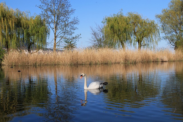 加拿大曼省移民生活怎么樣？適合華人定居嗎？