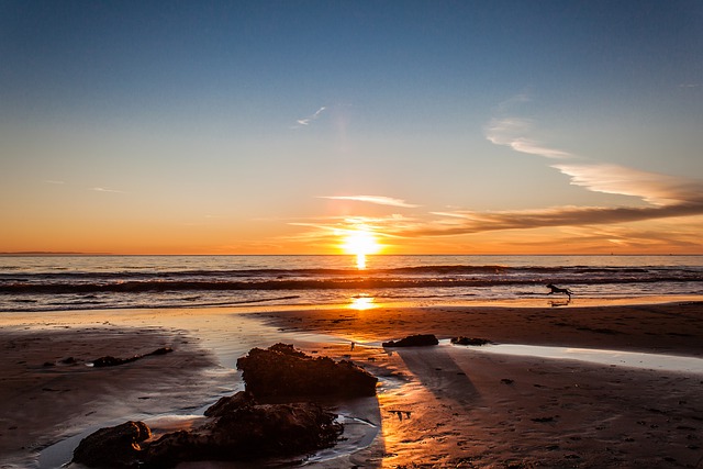 2022移民美國，哪種方式最省錢？