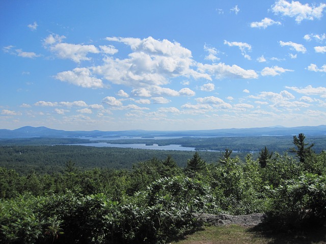 行業杰出人才移民，選EB1A移民美國還是NIW?