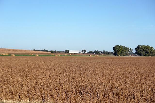 2022美國移民必讀：哪種方法移民美國最好？