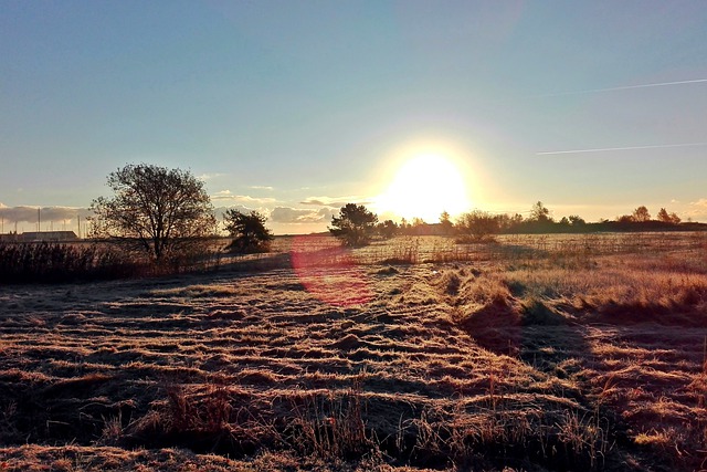 中國家長的教育移民之路，海外教育如何選？