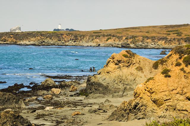 美國EB-3移民政策三大利好消息！