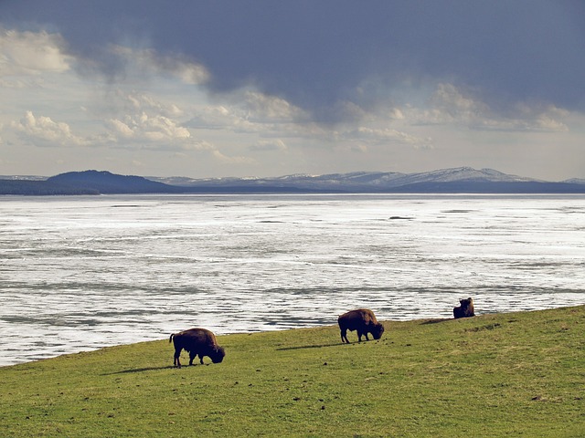 夫妻雙方移民美國的絕佳方式——EW3移民