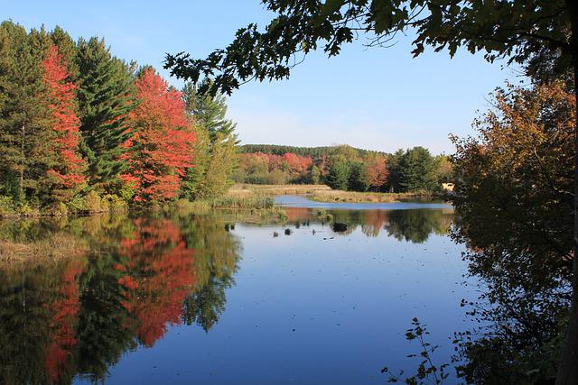 移民加拿大后，這么多福利你不可錯過！