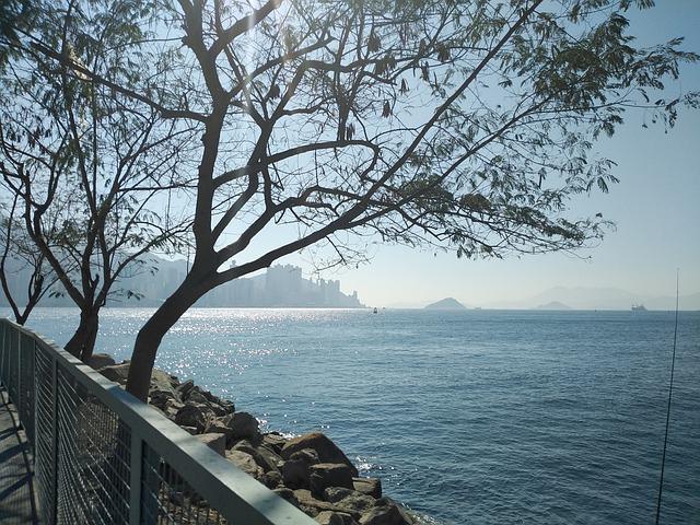 解讀2022年香港專才計劃的最新雇主要求