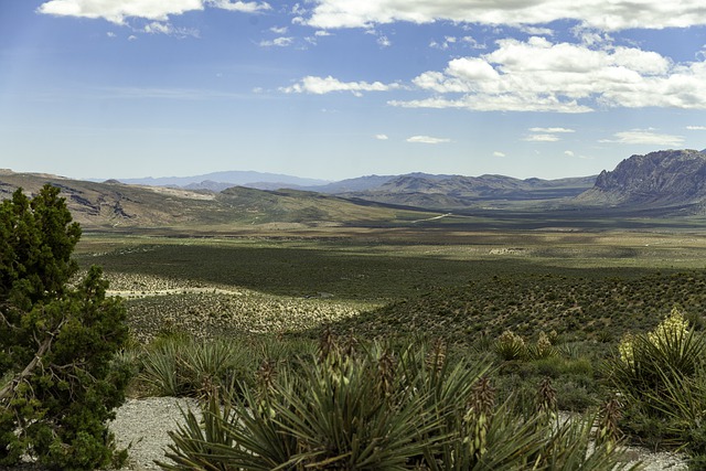 解讀美國EB3非技術移民的排期與申請流程