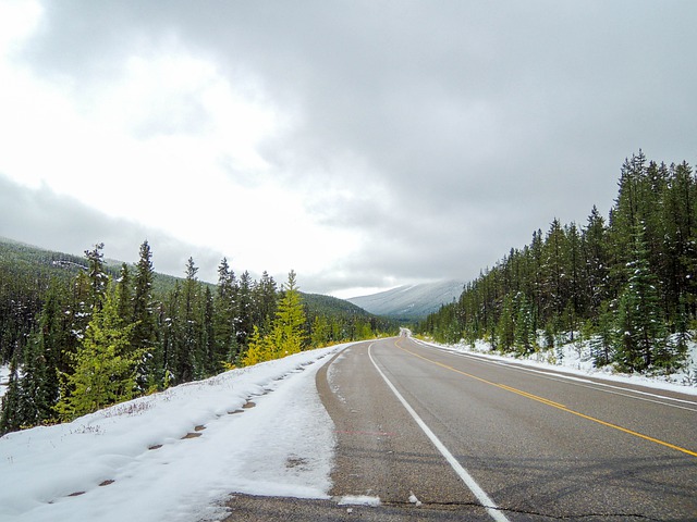 一文說說加拿大高等教育體系和大學(xué)分類